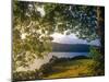 Urquhart Castle, Loch Ness, Lochaber, Scotland-Paul Harris-Mounted Photographic Print