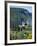 Urquhart Castle, Loch Ness, Scotland, United Kingdom-Adina Tovy-Framed Photographic Print