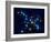 Ursa Major-Roger Harris-Framed Photographic Print