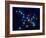 Ursa Major-Roger Harris-Framed Photographic Print