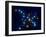 Ursa Major-Roger Harris-Framed Photographic Print