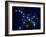 Ursa Major-Roger Harris-Framed Photographic Print