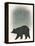 Ursa Major-Ryan Fowler-Framed Stretched Canvas