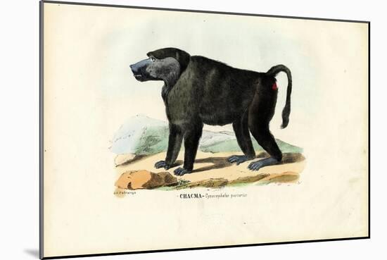 Ursine Baboon, 1863-79-Raimundo Petraroja-Mounted Giclee Print