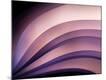 Premium Photographic Print
