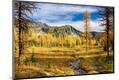 Photographic Print
