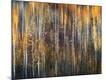Premium Photographic Print