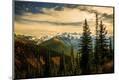 Photographic Print