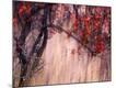 Photographic Print