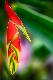 Premium Photographic Print