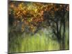 Premium Photographic Print