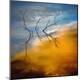 Premium Photographic Print