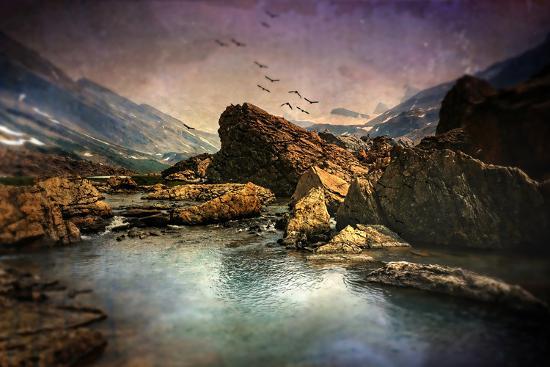 Photographic Print, , large