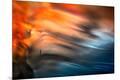 Premium Photographic Print