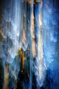 Evening Trees 1 by Ursula Abresch