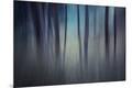 Premium Photographic Print