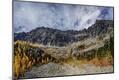 Photographic Print