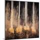 Premium Photographic Print