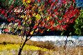 Premium Photographic Print