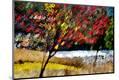 Premium Photographic Print