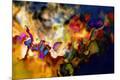 Premium Photographic Print