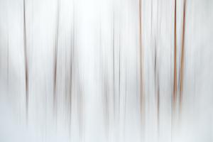 Fog by Ursula Abresch