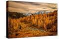 Stretched Canvas Print