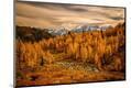 Photographic Print