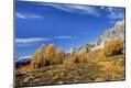 Photographic Print