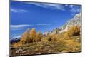 Photographic Print