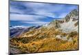 Photographic Print