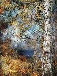 Autumn Leaves-Ursula Abresch-Photographic Print