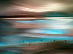 Migrations by Ursula Abresch