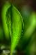 Premium Photographic Print