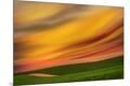 Premium Photographic Print