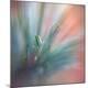 Premium Photographic Print