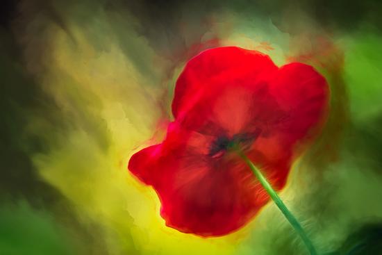 Photographic Print, , large
