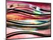 Premium Photographic Print