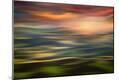 Photographic Print