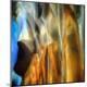 Premium Photographic Print