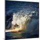 Premium Photographic Print
