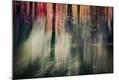 Premium Photographic Print