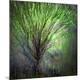Premium Photographic Print