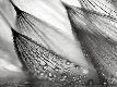Premium Photographic Print