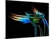 Premium Photographic Print