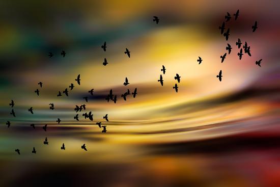 Photographic Print, , large