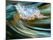 Premium Photographic Print