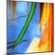 Premium Photographic Print