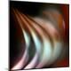 Premium Photographic Print