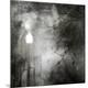 Premium Photographic Print